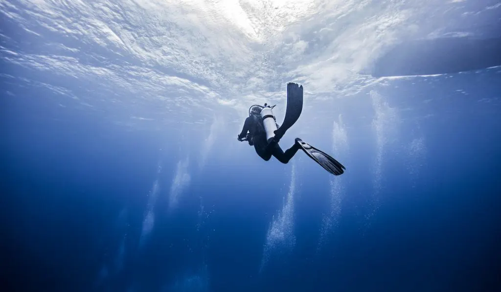 suba diving